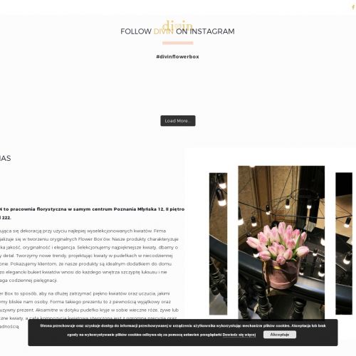 Poznań - sztuczny flower box