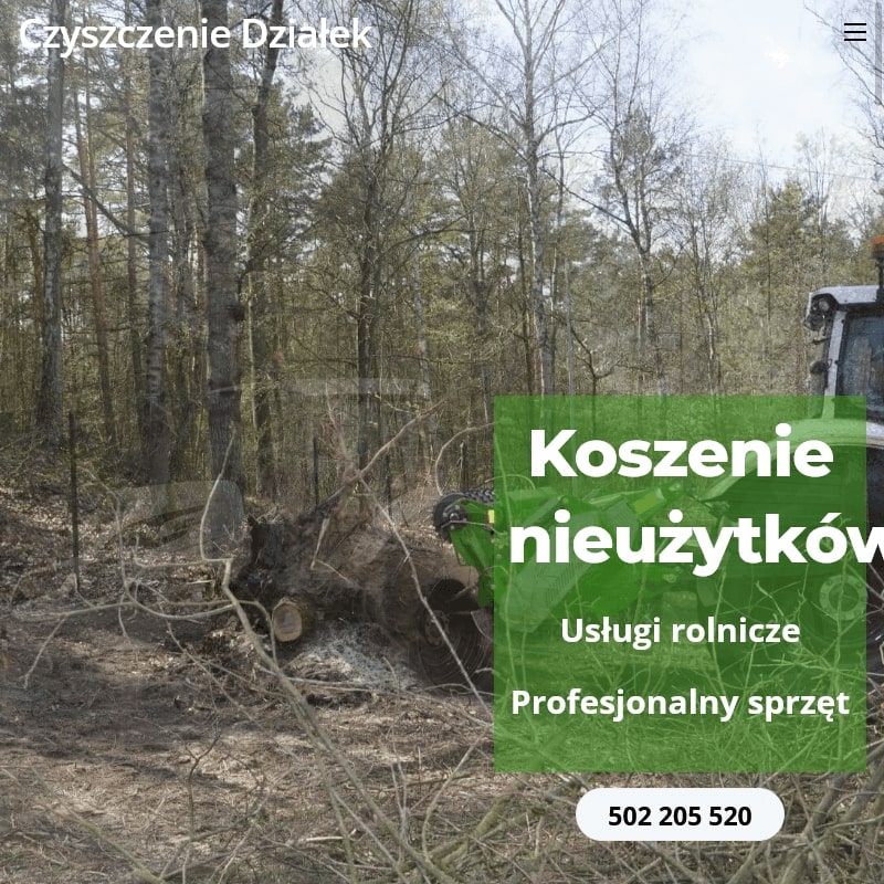 Warszawa - czyszczenie działki z drzew
