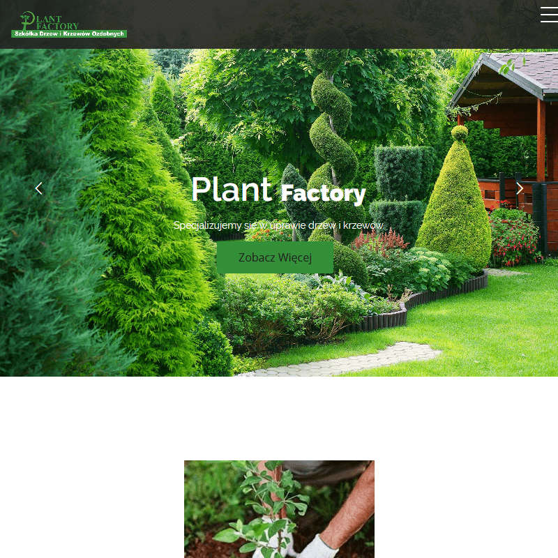 Grójec - tanie rośliny ogrodowe